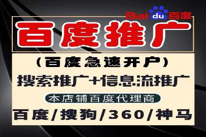 案例解析：如何通过百度推广实现快速转化